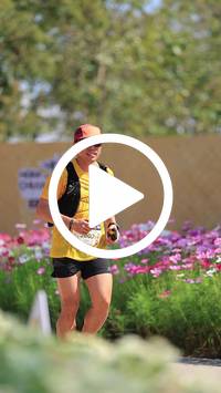 BIB:  <button type="button" onclick="openModal(27585513)" class="btn btn-primary btn-sm float-right" data-toggle="modal" data-target=".modal-high-quality">
                <i class="fa fa-download"></i> Download
                </button>